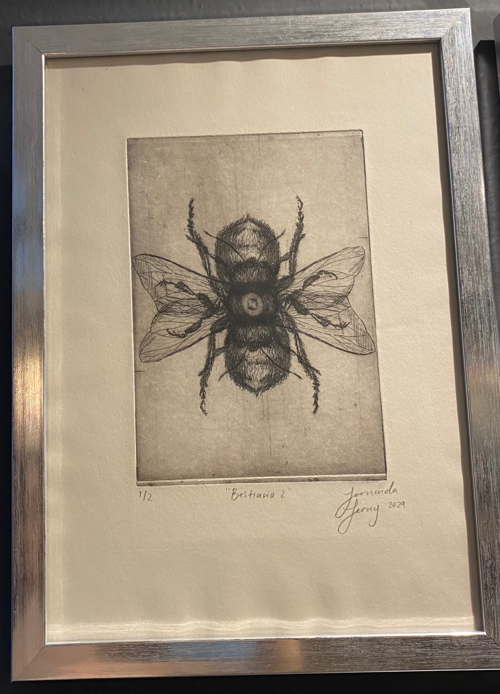 El Lenguaje de las Imágenes — 6