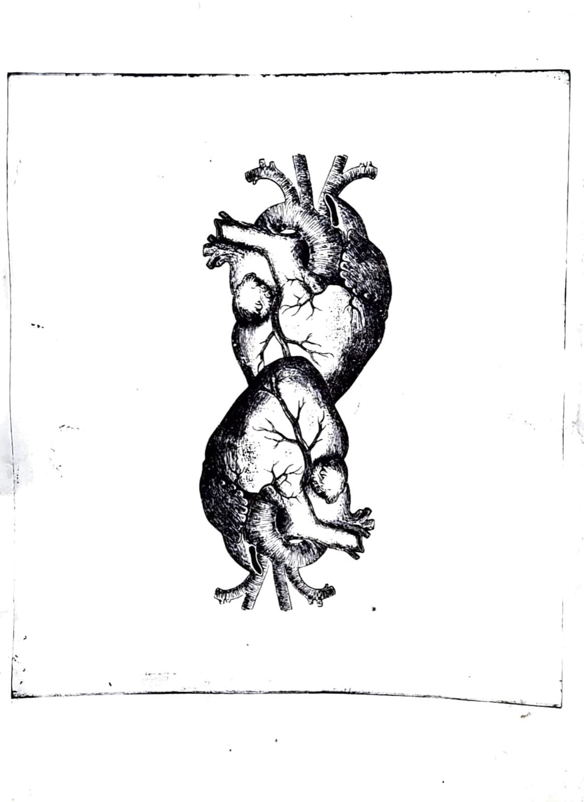 El Lenguaje de las Imágenes — 4